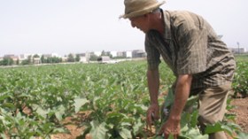 قائمة الفلاحين المستفيدين ضبطت وفق شروط حددتها وزارة المالية