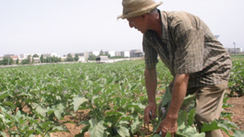 قائمة الفلاحين المستفيدين ضبطت وفق شروط حددتها وزارة المالية