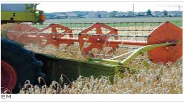 Les mesures d’accompagnement, objet de la réunion du conseil exécutif agricole de Tipasa