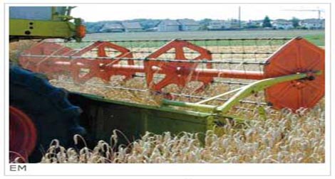 Les mesures d’accompagnement, objet de la réunion du conseil exécutif agricole de Tipasa
