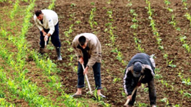 بن عيسى يتوّعد بإحالة المتورطين في قضايا الفساد على العدالة