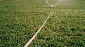 خبراء ألمان يدعون لمناطق صناعية خضراء