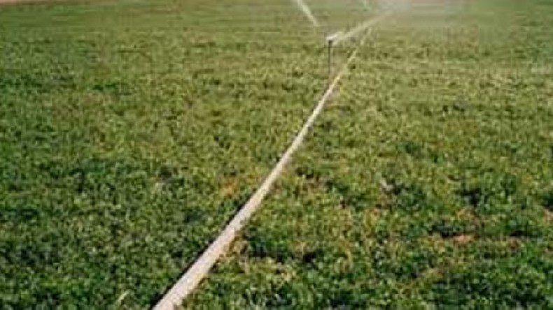 خبراء ألمان يدعون لمناطق صناعية خضراء