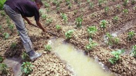 6 آلاف مستفيد من قرض “الرفيق” من ضمن 8 آلاف طلب استفادة