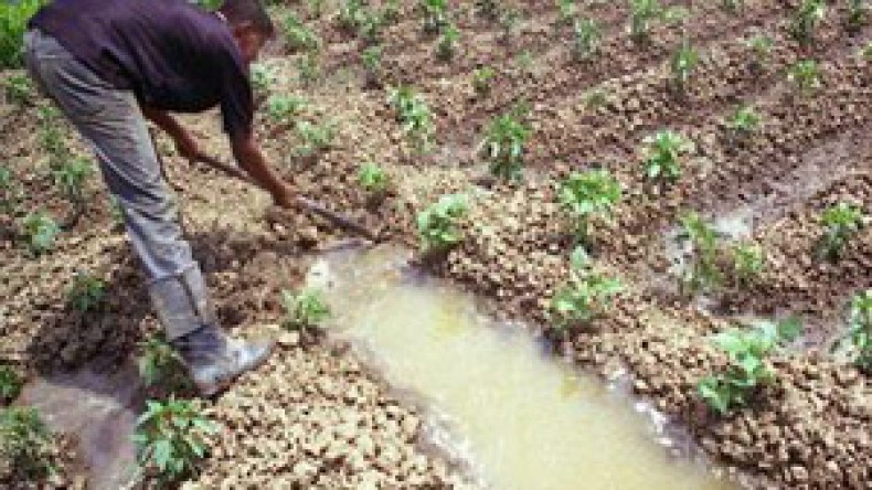 6 آلاف مستفيد من قرض “الرفيق” من ضمن 8 آلاف طلب استفادة