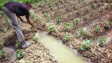 Investissement et agriculture, au centre des préoccupations des populations du Sud