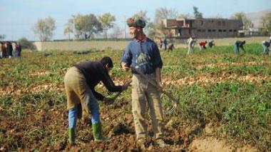 Agriculture : des pesticides mortels menacent la santé des consommateurs