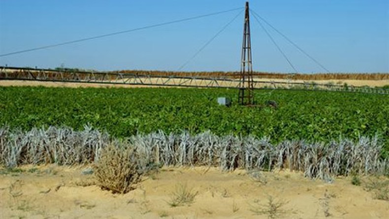 سوناطراك تدخل الاستثمار الفلاحي بالجلفة