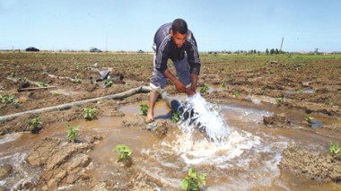 Algeria: Farmers oust hapless investors from agricultural concession lands