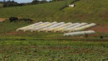 ألـّي حرثوا دكّوا!