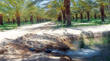 Un nouveau programme pour développer l’agriculture dans le Sud