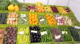 تصدير 100 طن من المنتجات الفلاحية خلال 2020