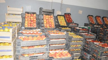 La Banque d’Algérie gèle l’importation des agrumes