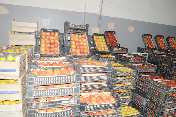 La Banque d’Algérie gèle l’importation des agrumes