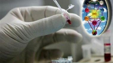 Seven New Swine Flu Cases Declared in Algeria