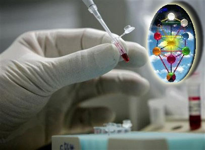 Seven New Swine Flu Cases Declared in Algeria