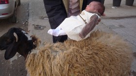 الجزائريون يمارسون التمييز بين الذكور والإناث في “العقيقة”