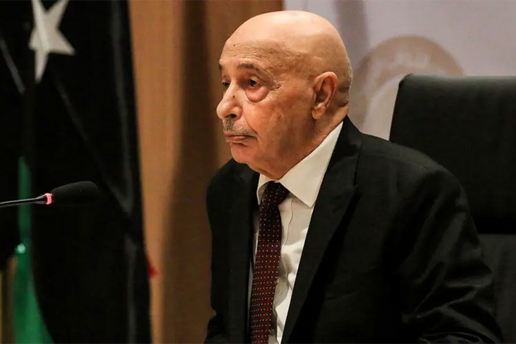 Shadow Points And Standing Questions About Aqila Salah’s Visit To Algeria