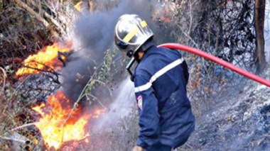 Algeria Forestry Department: “Arsonists involved in forest blazes will be severely punished”