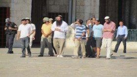 مستوطنون يقتحمون الأقصى تحت حراسة الجيش