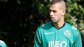 إدارة سبورتينغ: سليماني سيشاهد افتتاحية البطولة البرتغالية على التلفاز!