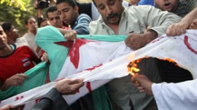 محامو مصر يرفضون الاعتذار عن حرق العلم ويروّجون للأكاذيب