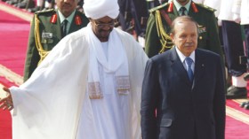 الجزائر لن تنسى جميلك يا سودان