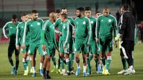Zimbabwean Media: “Beating Algeria Greens Is A Fantasy”
