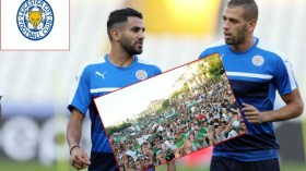 الجزائريون أكبر مناصر لِفريق ليستر سيتي في العالم