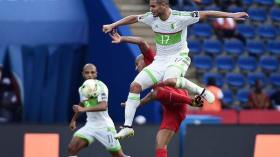 60 بالمائة من الجماهير تتوقع إقصاء الخضر