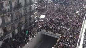 Marches imposantes contre le 5e mandat