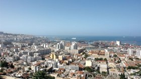 40 مليون جزائري.. أذكياء!