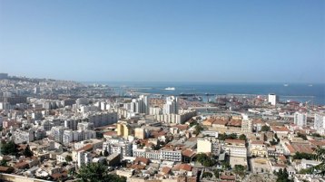 40 مليون جزائري.. أذكياء!