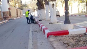 شكرا.. لكن بلا مزيّتكم!