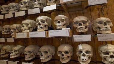 Xavier Driancourt: “Algeria Submitted A Formal Request To Recover Revolution Martyrs' Skulls”