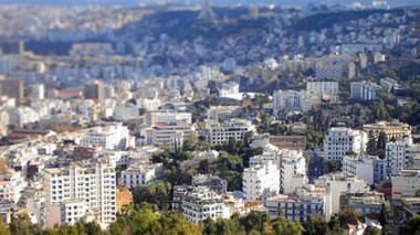 10 Ministers at an urgent meeting to modernize Algiers