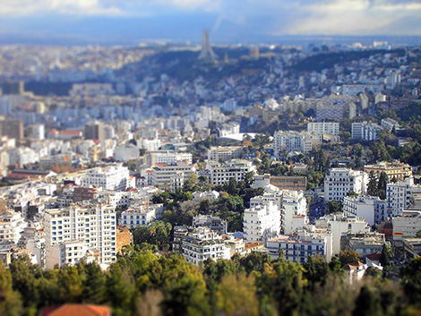 10 Ministers at an urgent meeting to modernize Algiers