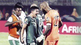 لهذه الأسباب.. كوت ديفوار في متناول الخضر!