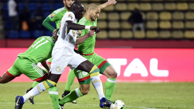 الخضر بحاجة إلى رقية أو “بسيكولوغ”