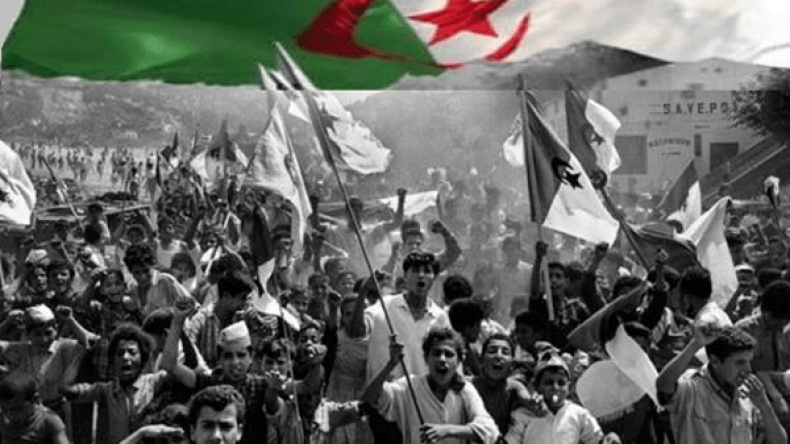 “خلات الجزائر”