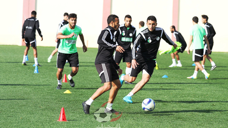 المنتخب الجزائري يستأنف تحضيراته لمواجهة المنتحب الليبي