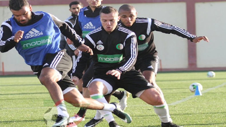 ليكينس يطبق اختراعه الجديد في سيدي موسى ويخفيه عن الاعلام والجواسيس