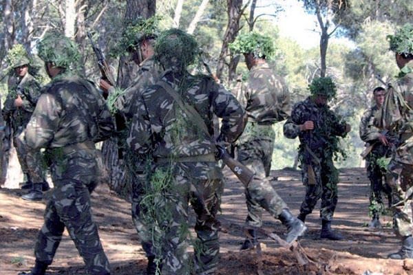 Deux dangereux terroristes abattus à Bouira