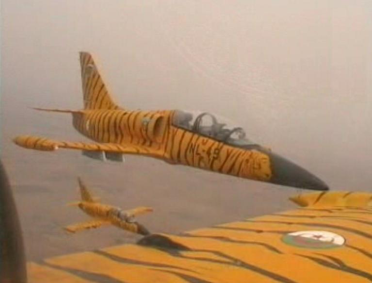 Algerian forces launch a joint military training with troops of Sahel countries to combat Al Qaeda