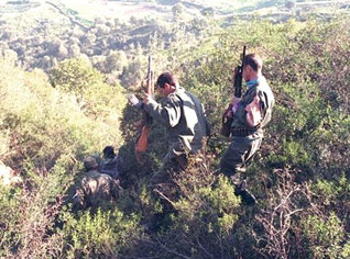 Algerian forces eliminate a terrorist east of Algiers