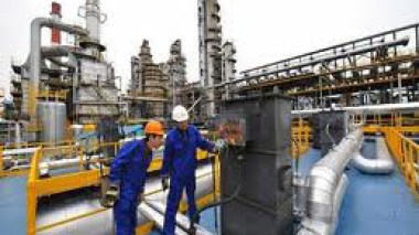 2011, année de l’investissement et de la relance de l’entreprise