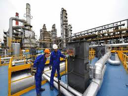 2011, année de l’investissement et de la relance de l’entreprise