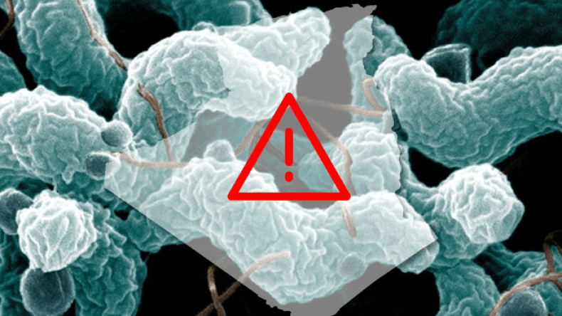 وزارة الصحة: كفوا عن مغالطة الناس… فلا وجود للتيفوئيد