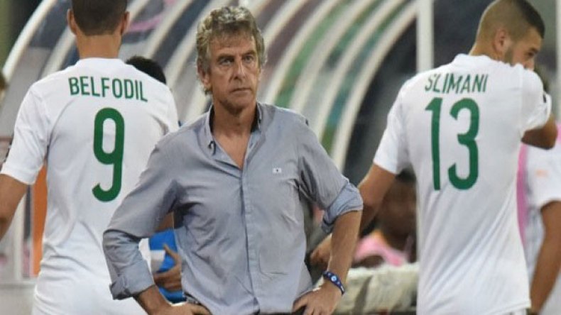 Christian Gourcuff reste avec  les verts