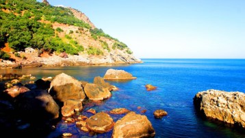 سأحدثهم عن الجزائر الجميلة فقط